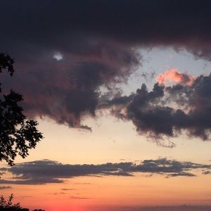 Meet your Posher, Ella